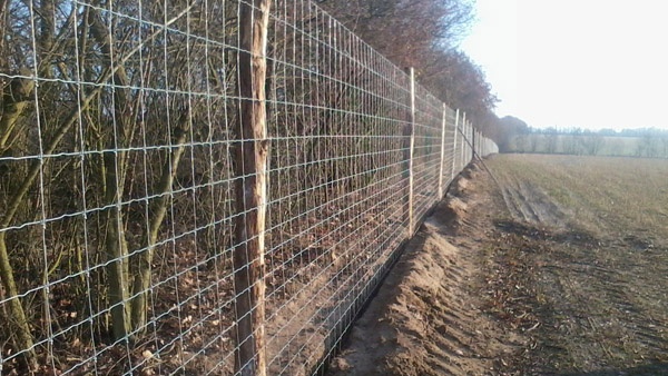 oplotenie systémov výstavba jeleních fariem komplexný servis oplotenie veľkých plôch Poľsko