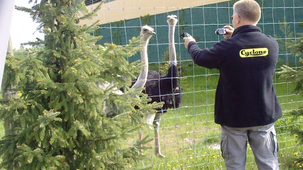 oplotenie systémov výstavba jeleních fariem komplexný servis oplotenie veľkých plôch Poľsko