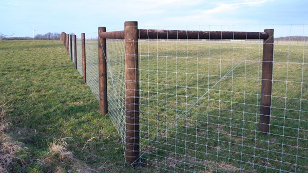 oplotenie systémov výstavba jeleních fariem komplexný servis oplotenie veľkých plôch Poľsko