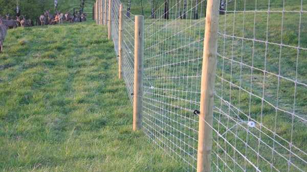 oplotenie systémov výstavba jeleních fariem komplexný servis oplotenie veľkých plôch Poľsko