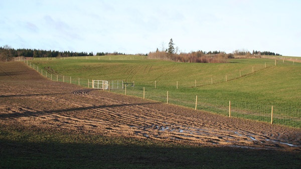 oplotenie systémov výstavba jeleních fariem komplexný servis oplotenie veľkých plôch Poľsko