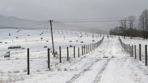 oplotenie systémov výstavba jeleních fariem komplexný servis oplotenie veľkých plôch Poľsko