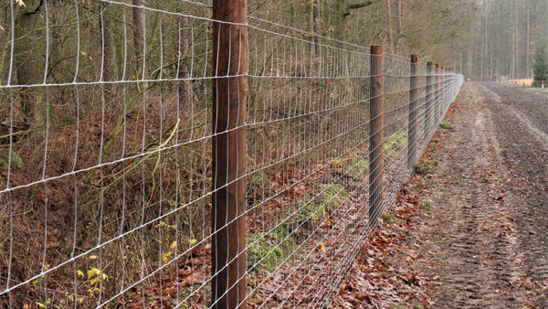 oplotenie systémov výstavba jeleních fariem komplexný servis oplotenie veľkých plôch Poľsko