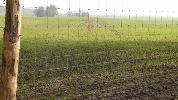 oplotenie systémov výstavba jeleních fariem komplexný servis oplotenie veľkých plôch Poľsko