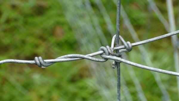 oplotenie systémov výstavba jeleních fariem komplexný servis oplotenie veľkých plôch Poľsko