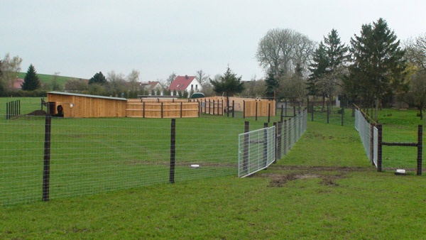 oplotenie systémov výstavba jeleních fariem komplexný servis oplotenie veľkých plôch Poľsko