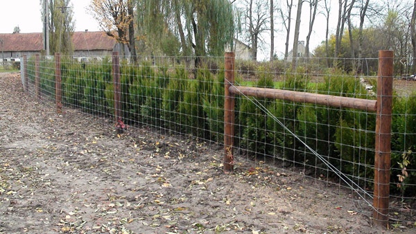 oplotenie systémov výstavba jeleních fariem komplexný servis oplotenie veľkých plôch Poľsko