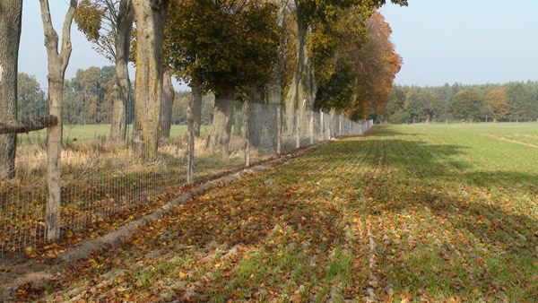 oplotenie systémov výstavba jeleních fariem komplexný servis oplotenie veľkých plôch Poľsko