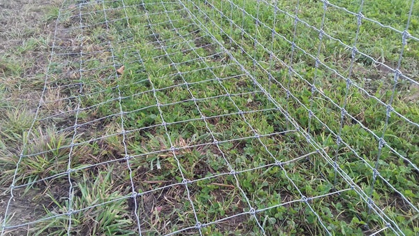 oplotenie systémov výstavba jeleních fariem komplexný servis oplotenie veľkých plôch Poľsko