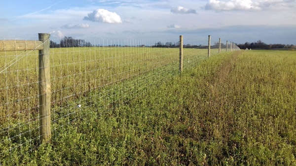 oplotenie systémov výstavba jeleních fariem komplexný servis oplotenie veľkých plôch Poľsko