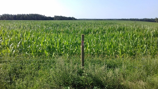 oplotenie systémov výstavba jeleních fariem komplexný servis oplotenie veľkých plôch Poľsko