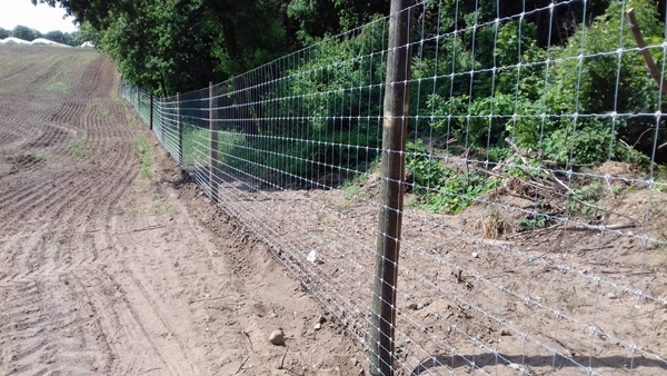 oplotenie systémov výstavba jeleních fariem komplexný servis oplotenie veľkých plôch Poľsko