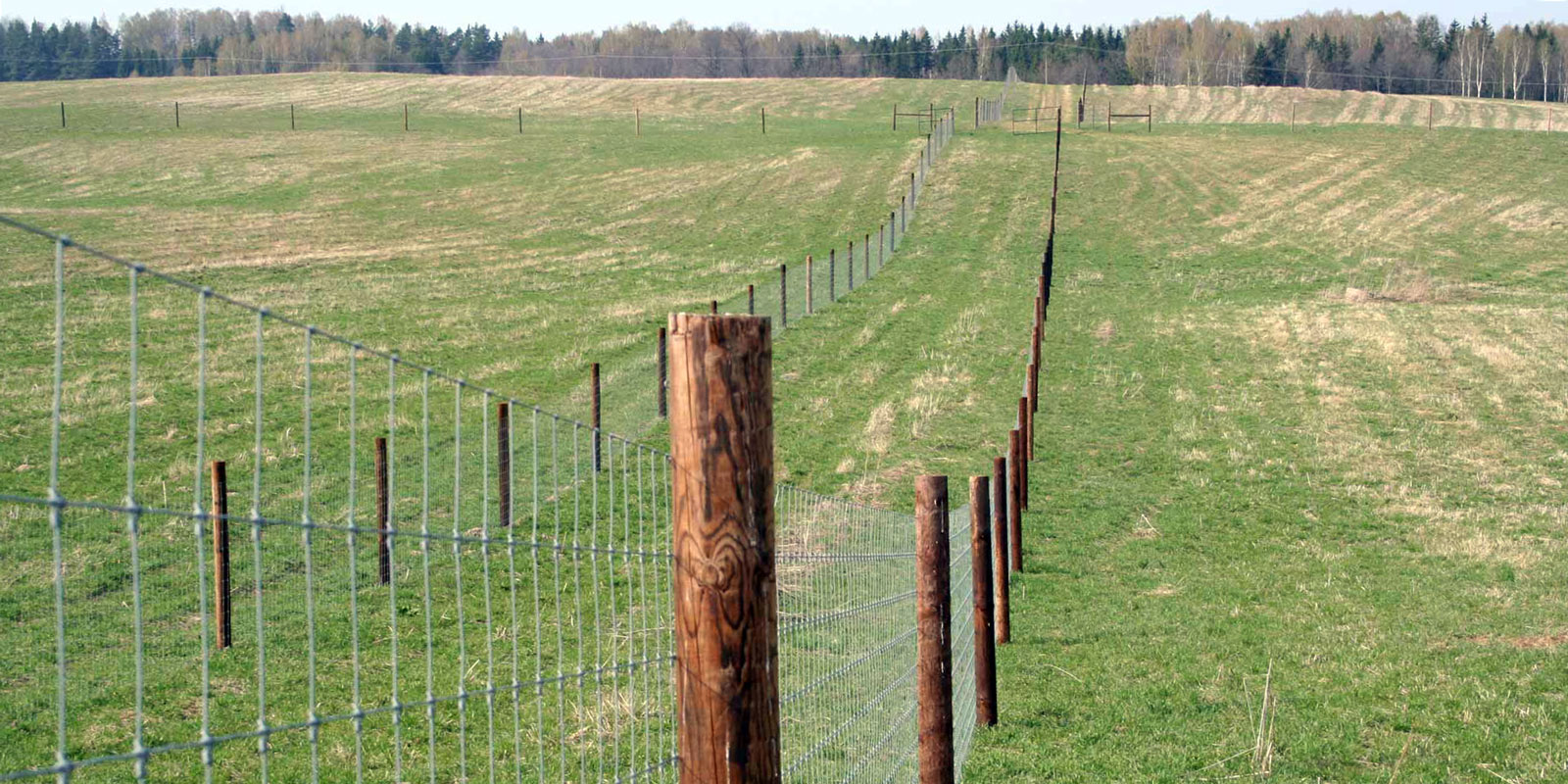 oplotenie systémov výstavba jeleních fariem komplexný servis oplotenie veľkých plôch Poľsko