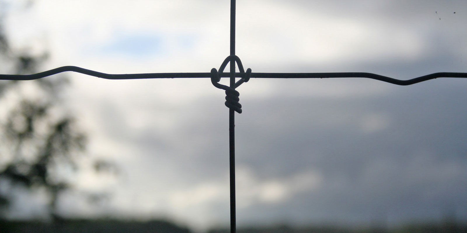 oplotenie systémov výstavba jeleních fariem komplexný servis oplotenie veľkých plôch Poľsko