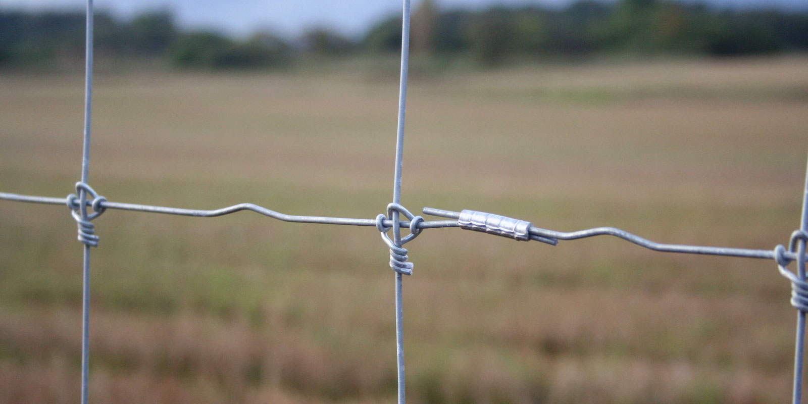 oplotenie systémov výstavba jeleních fariem komplexný servis oplotenie veľkých plôch Poľsko