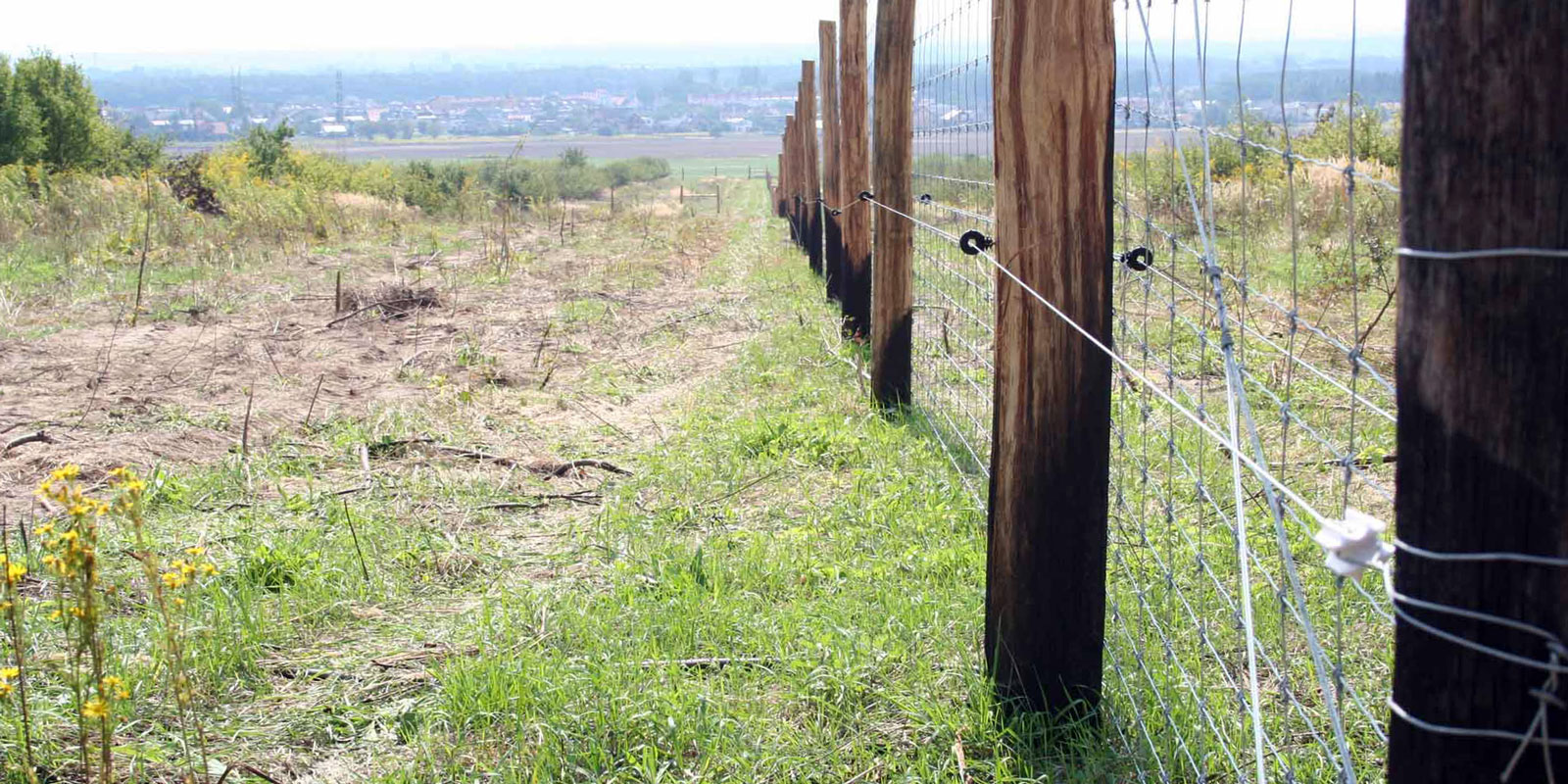 oplotenie systémov výstavba jeleních fariem komplexný servis oplotenie veľkých plôch Poľsko