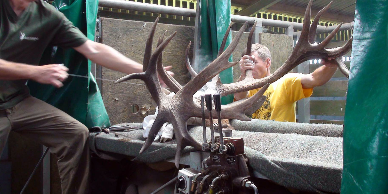 oplotenie systémov výstavba jeleních fariem komplexný servis oplotenie veľkých plôch Poľsko